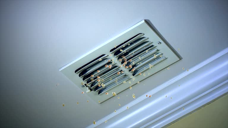 Best General Air Duct Cleaning  in Glenn Heights, TX