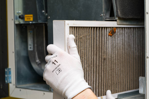Best Affordable Air Duct Cleaning  in Glenn Heights, TX